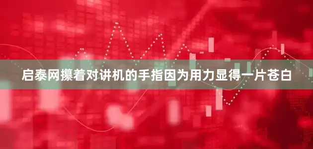启泰网攥着对讲机的手指因为用力显得一片苍白