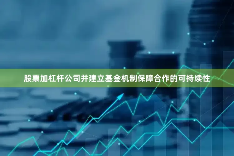 股票加杠杆公司并建立基金机制保障合作的可持续性