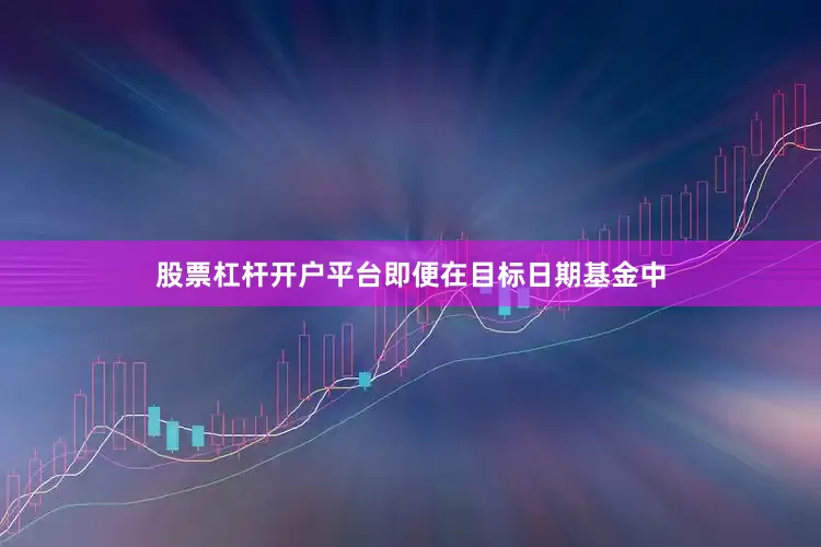 股票杠杆开户平台即便在目标日期基金中