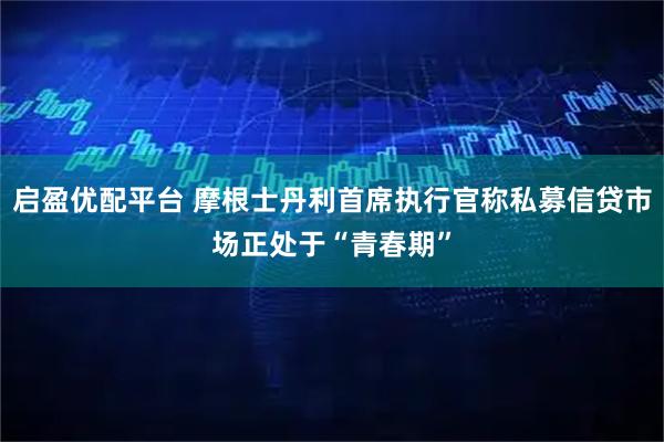 启盈优配平台 摩根士丹利首席执行官称私募信贷市场正处于“青春期”