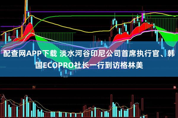 配查网APP下载 淡水河谷印尼公司首席执行官、韩国ECOPRO社长一行到访格林美